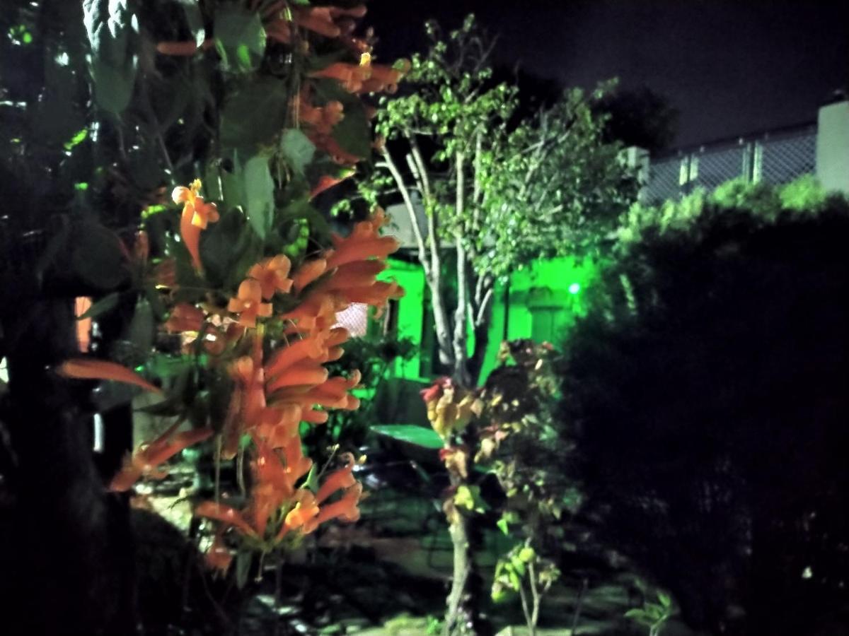 Last Chance Cafe And Guest House Rishikesh Ngoại thất bức ảnh